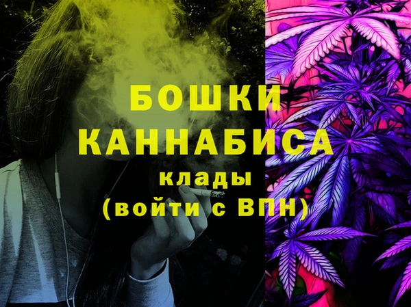 крисы Дмитриев