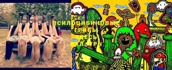 марихуана Дмитровск