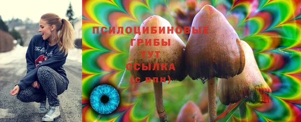 марихуана Дмитровск