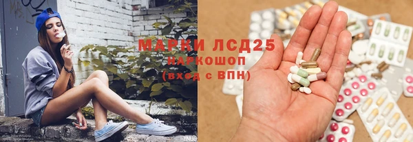 крисы Дмитриев