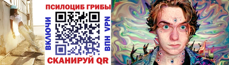 Псилоцибиновые грибы GOLDEN TEACHER  kraken онион  Енисейск 